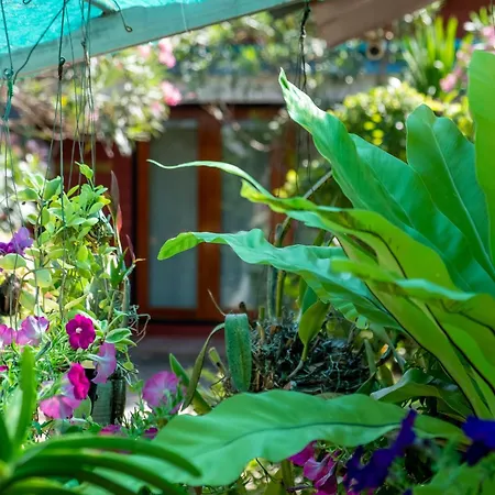 Thai Smile Bungalows-2
